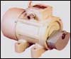 Unbalance Vibratory Motor